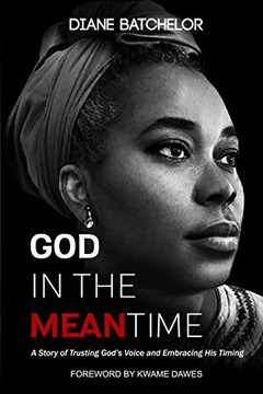 GOD IN THE MEANTIME: A Story of Trusting God's Voice and Embracing His Timing
