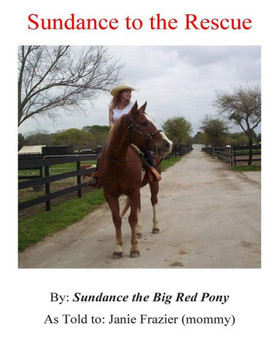 Sundance to the Rescue