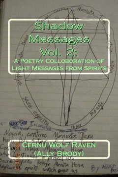 Shadow Messages Vol. 2: : A Poetry Colloboration of Light Messages from Spirits