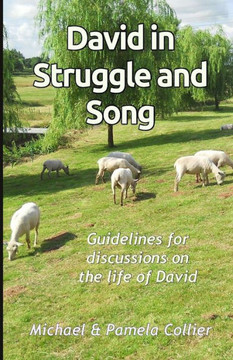 David in Struggle and Song: Guidelines for discussions on the life of David (black & white version)