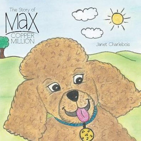 The Story Of Max Copper Million