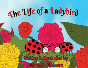 The Life Of A Ladybird
