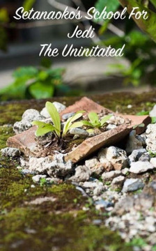 Setanaoko's School for Jedi: The Uninitiated