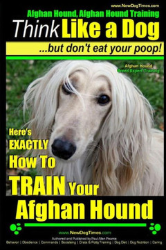 Afghan Hound, Afghan Hound Training Think Like a Dog But Don't Eat Your Poop! Afghan Hound Breed Expert Training: Here's EXACTLY How To TRAIN Your Afg