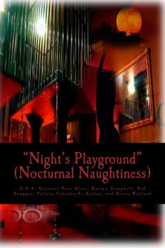 Night's Playground: Nocturnal Naughtiness