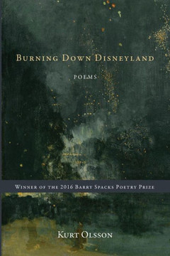Burning Down Disneyland Burning Down Disneyland