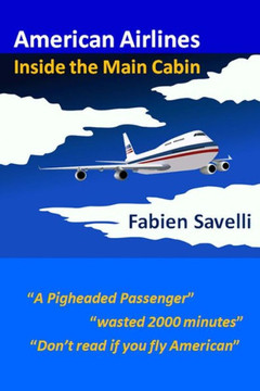American Airlines: Inside the Main Cabin