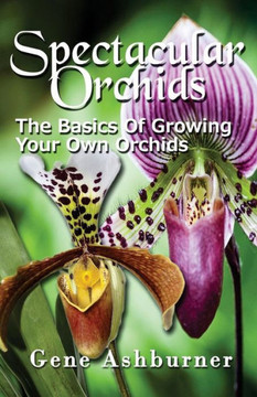 Spectacular Orchids: The Basics Of Growing Your Own Orchids