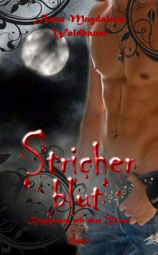 Stricherblut 1: Begegnung mit dem Besen