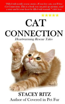 Cat Connection: Heartwarming Rescue Tales