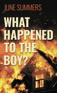 What Happened to the Boy?