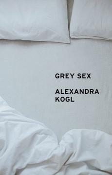Grey Sex: Heterosexuality and Everyday Domination : 9781509558889