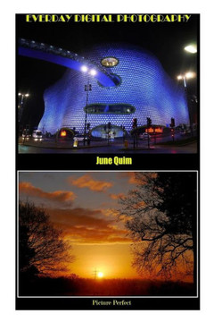 Everyday Digital Photography: Picture Perfect