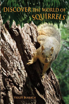 Discover the World of Squirrels: Illustrated Kids Book With Fun Facts About Squirrels And Builds Kids Vocabulary