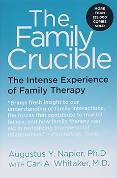 The Family Crucible: The Intense Experience Of Family Therapy (Perennial Library)