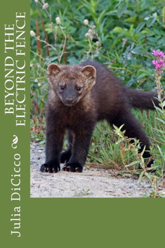 Beyond The Electric Fence