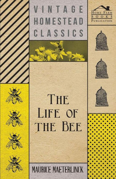 The Life Of The Bee - 9781443707565