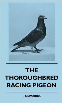 The Thoroughbred Racing Pigeon - 9781445515786