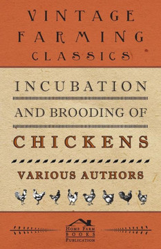 Incubation and Brooding of Chickens - 9781445512730