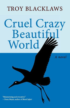 Cruel Crazy Beautiful World Cruel Crazy Beautiful World