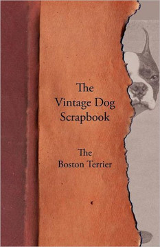 The Vintage Dog Scrapbook - The Boston Terrier
