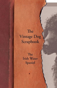 The Vintage Dog Scrapbook - The Irish Water Spaniel The Vintage Dog Scrapbook - The Irish Water Spaniel