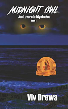 Midnight Owl Midnight Owl