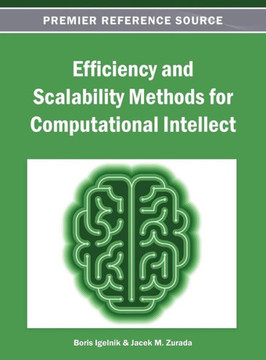 Efficiency and Scalability Methods for Computational Intellect