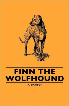Finn the Wolfhound - 9781445506852