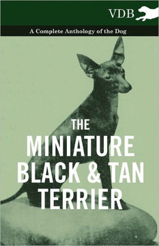 The Miniature Black and Tan Terrier - A Complete Anthology of the Dog - 9781445526324