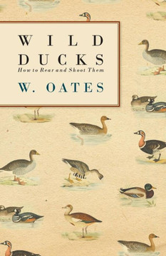 Wild Ducks - How to Rear and Shoot Them - 9781445503479