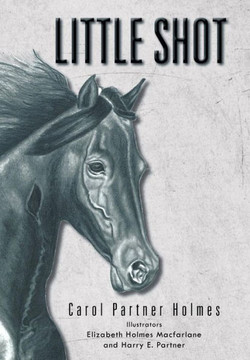 Little Shot - 9781469163222