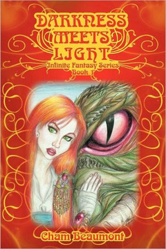 Darkness Meets Light: Infinite Fantasy Series, Book 1 - 9781452548852
