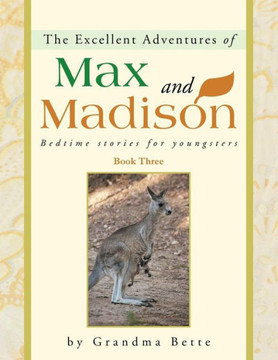 The Excellent Adventures of Max and Madison: Bedtime Stories for Youngsters - 9781452572680