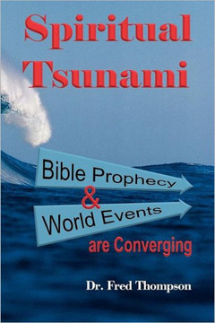 Spiritual Tsunami: Biblical Prophecy and World Events Are Converging - 9781449739157