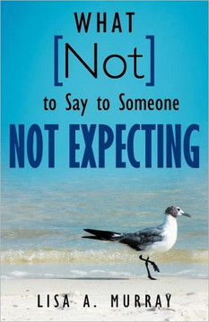 What Not to Say to Someone Not Expecting - 9781449732691