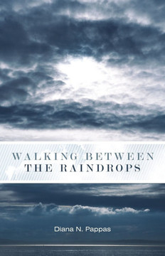 Walking Between the Raindrops - 9781449712884