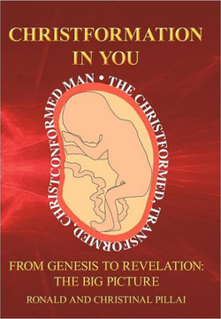 Christformation in You: From Genesis to Revelation: The Big Picture - 9781449735784