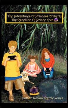 The Adventures of Princess Amberly: The Rebellion of Prince Kota - 9781449716882