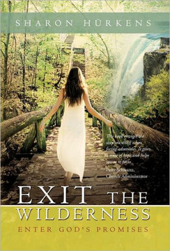 Exit the Wilderness: Enter God's Promises - 9781449738068