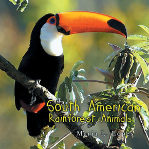 South American Rainforest Animals