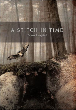 A Stitch in Time - 9781466902251