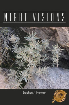 Night Visions - 9781466958456
