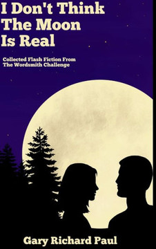 I Don't Think The Moon Is Real