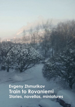 Train to Rovaniemi: Adventures, love, memories