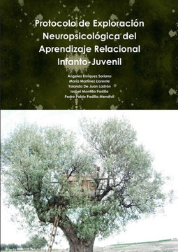 Protocolo de Exploraci?? Neuropsicol??ica del Aprendizaje Relacional Infanto-Juvenil.