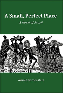 A Small, Perfect Place: A Novel of Brazil - 9781462020959