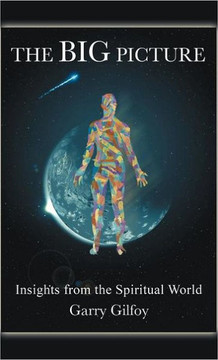 The Big Picture: Insights from the Spiritual World - 9781462071081