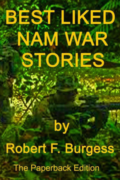 BEST LIKED NAM WAR STORIES