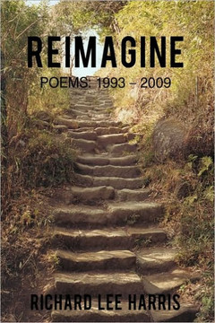 Reimagine: Poems: 1993 - 2009 - 9781450209106